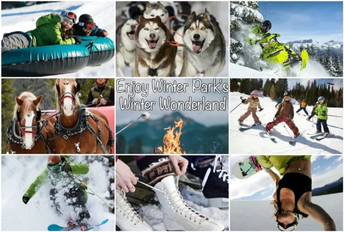 This lively exterior image features people enjoying a variety of winter activities—snow tubing, skiing, snowboarding, and ice skating. Huskies and horses add to the sense of outdoor adventure, while a campfire scene and children playing in the snow evoke family-friendly excitement.